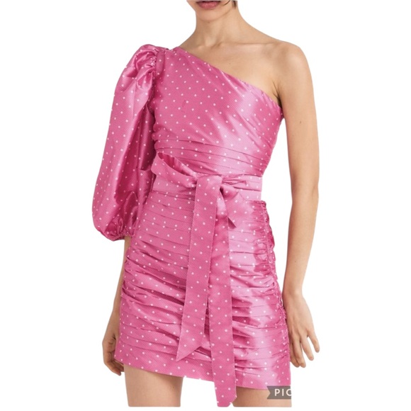 LoveShackFancy Dresses & Skirts - NWT LoveShackFancy Altie Dress - Hot Pink Cherry - Sz 4